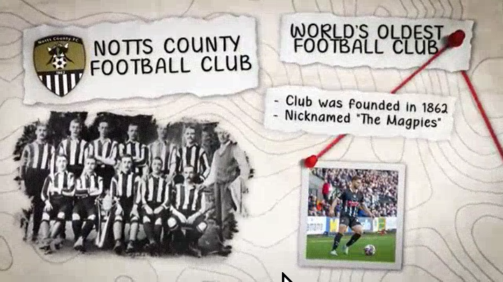 Pin Board Timeline Animation